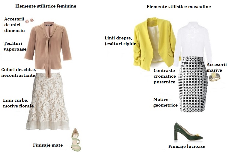 feminitate_masculinitate_anatomia_v1.12